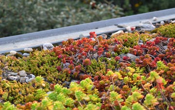 the cost of Lower Highmoor green roof installation