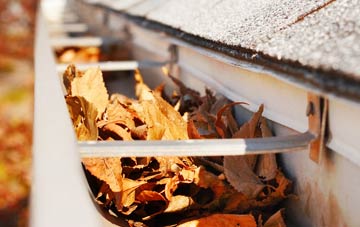 Lower Highmoor gutter cleaning companies