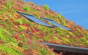 Lower Highmoor living roof systems